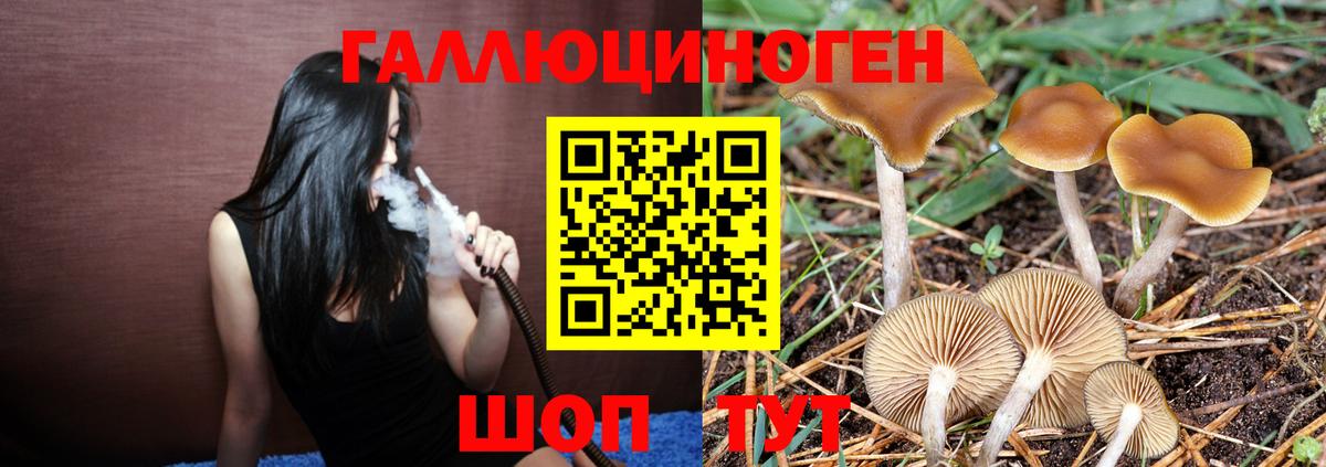 Ангарск  дарнет шоп  Галлюциногенные грибы мицелий  Вход с VPN  Галлюциногенные грибы прущие грибы 